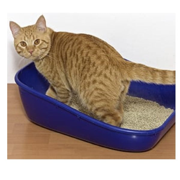 Deodorante Per Lettiera Gatti Simple Solution - 600g, Granuli Enzimatici Neutralizzano Odori - Foto 8