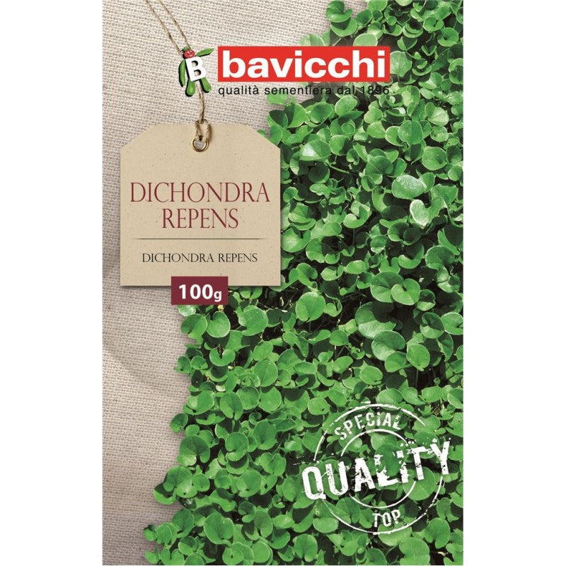 Bavicchi Dichondra Repens