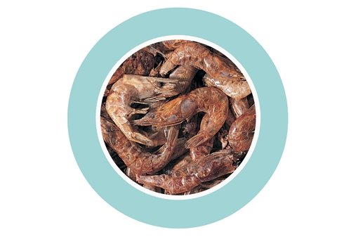 Padovan Shrimps gr.160