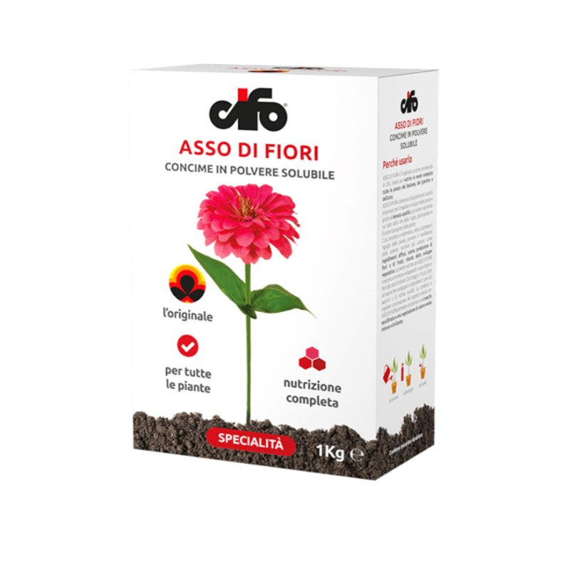 Cifo Asso di Fiori kg 1