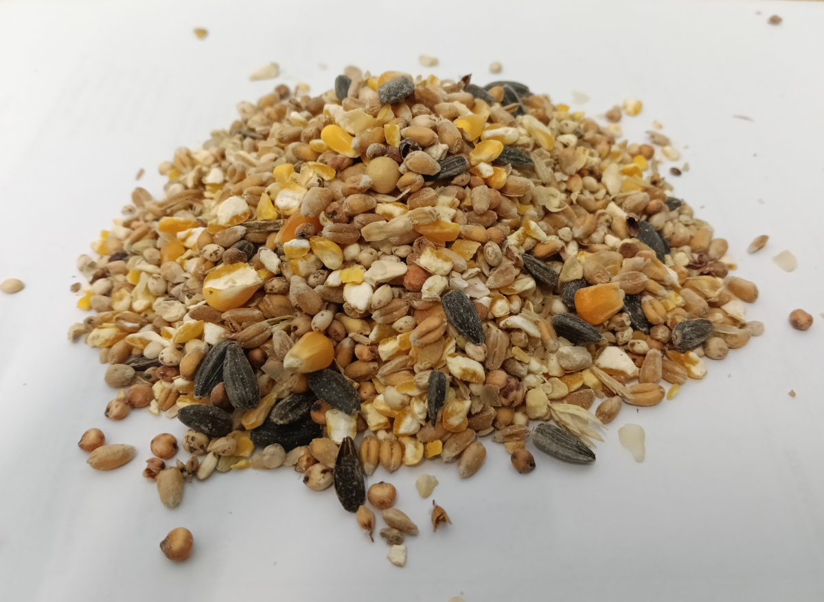 Mangime Misto Granaglie con Girasole per Polli Galline Ovaiole e altri Avicoli