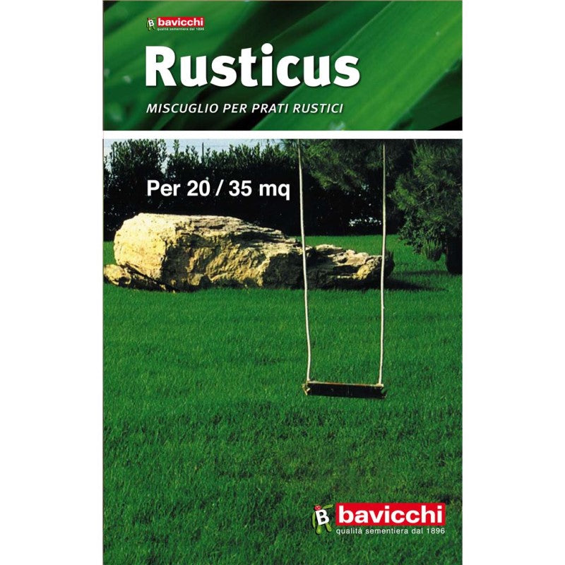 Bavicchi Rusticus