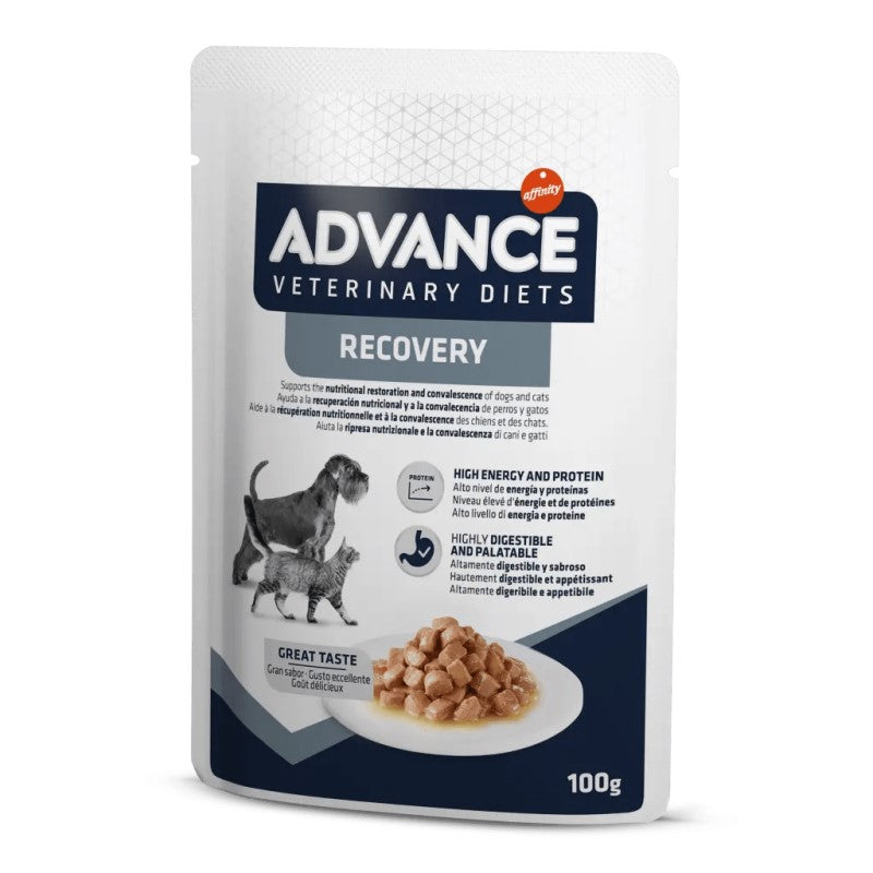 Advance Veterinary Diets Canine e Feline Recovery gr 100