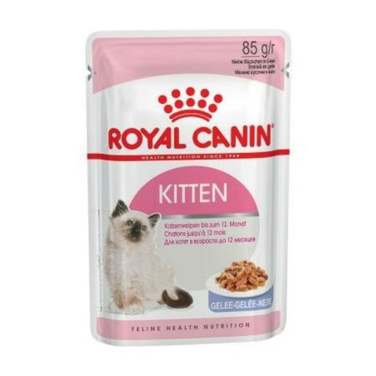 Royal Canin Kitten Jelly gr 85
